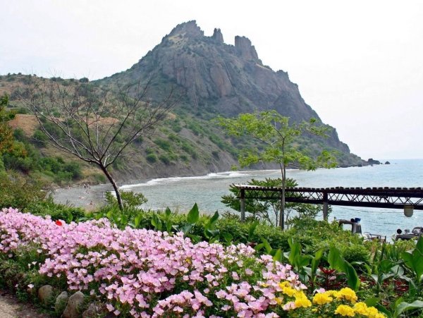 Море горы цветы