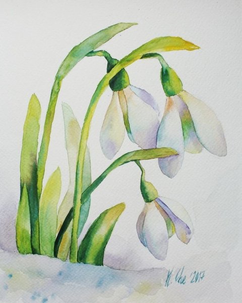 Катарина Кляйн Ландыши