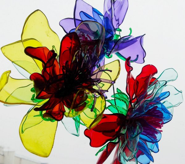 Цветы из пластиковых бутылок