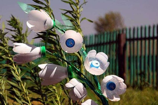 Цветы из ПЭТ