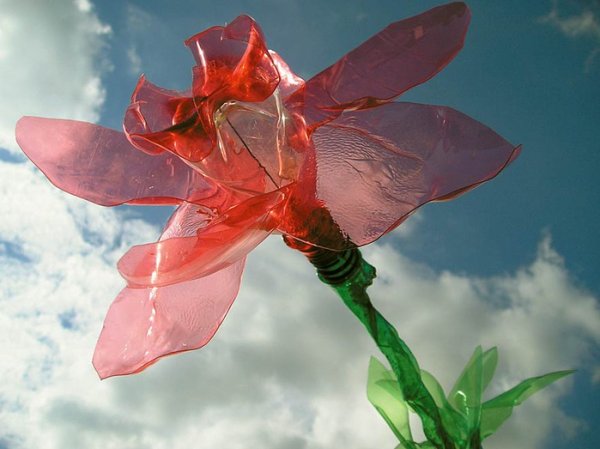 Цветы из пластиковых бутылок