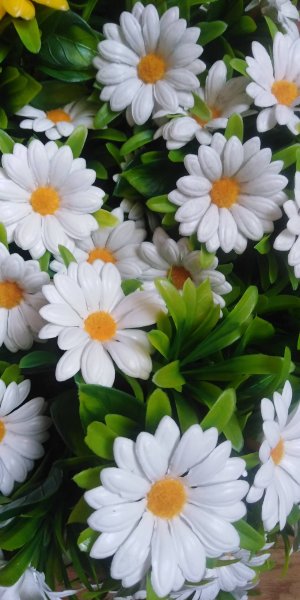 Цветы из пластиковых бутылок своими руками