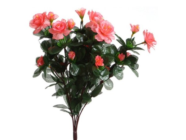 Цветы изпластевыхбутылок