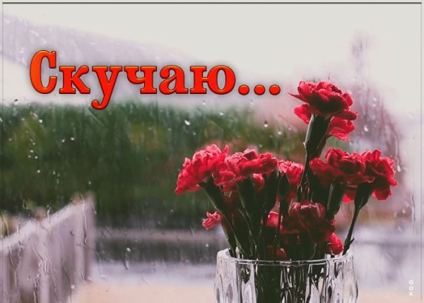 Цветы скучаю по тебе