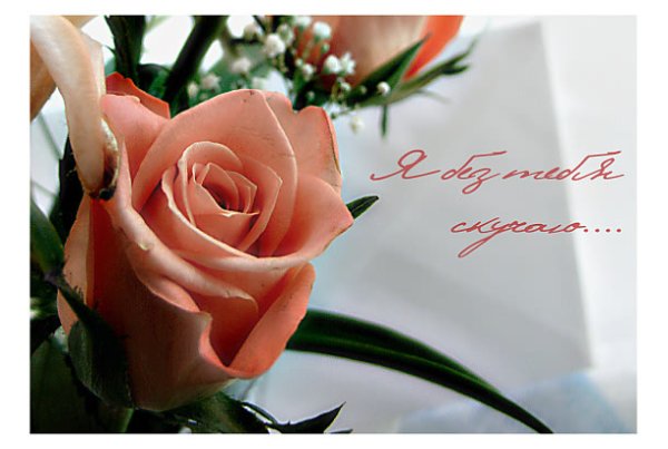 Красивые цветы для девушки соскучился