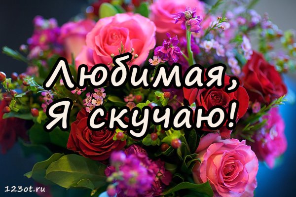 Я скучаю цветы