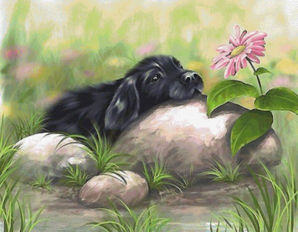 Художник Veronica Minozzi