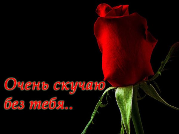 Скучаю по тебе девушке