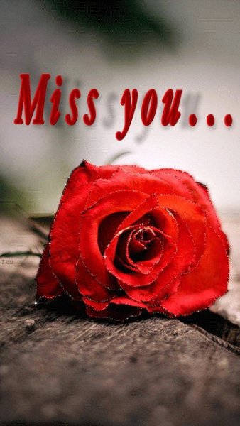 Открытка Miss you