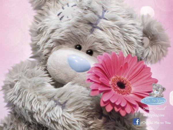 Милые картинки для девушки любимой