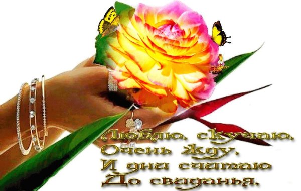 Открытка жду любимый