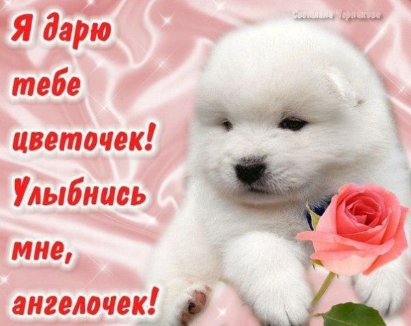 Я скучаю по тебе Настя