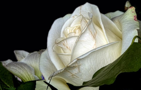 Не скучай я с тобой