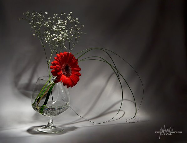 Скучаю по тебе