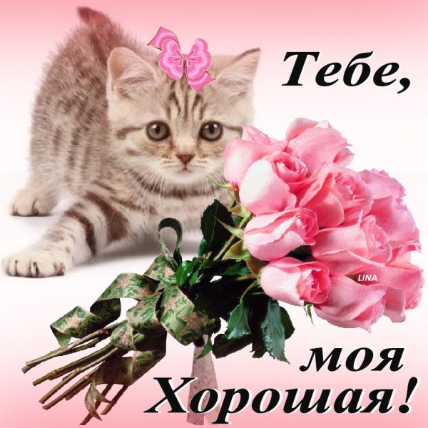 Милый котенок с бантиком