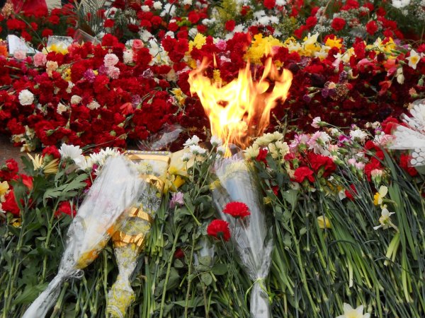 Цветы у вечного огня