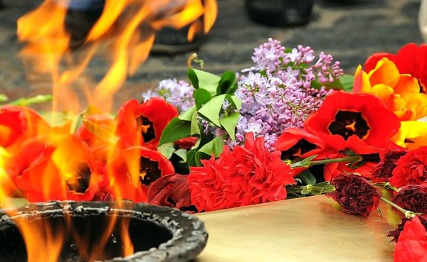 Гвоздики и огонь