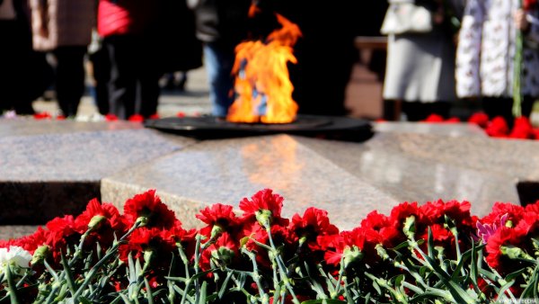 Красные гвоздики у вечного огня