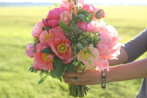 Цветущая мечта цветок