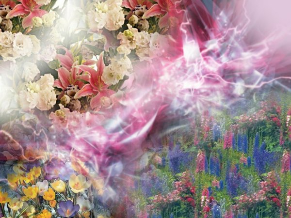 Цветочная душа