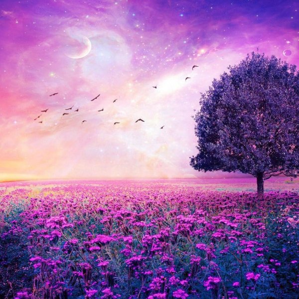 Фиолетовая природа