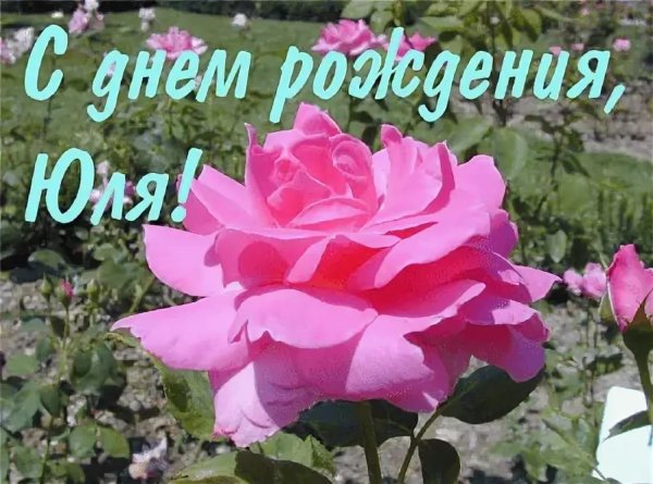 Фото с днём рождения Юлечка
