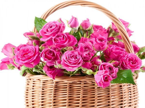 Букет ромашек с добрыми пожеланиями