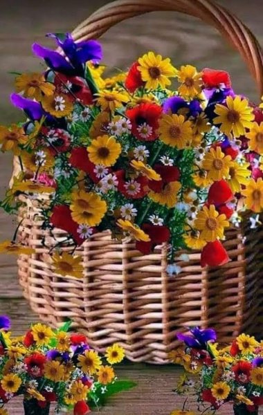 Яркие осенние цветы