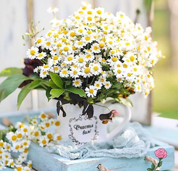 Нежный букет в чашке