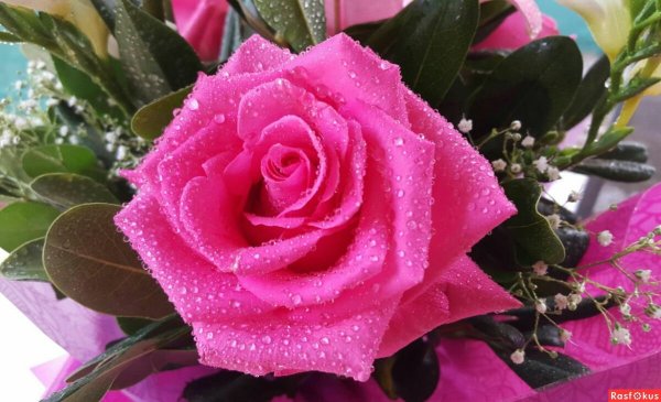 Букет цветов просто так