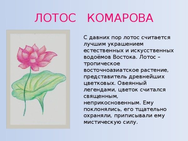 Редкие растения из Красной книги России