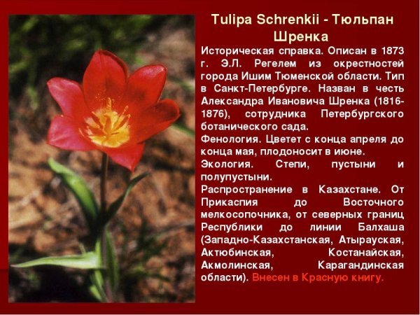 Растения красной книги Республики Беларусь