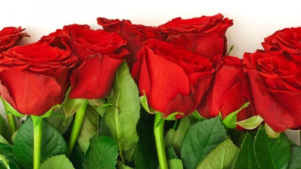 Цветочная открытка