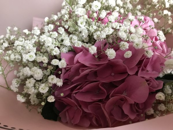 Яркие цветы