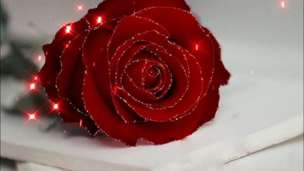 Яркие полевые цветы