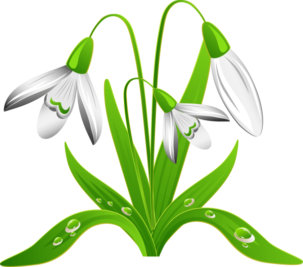 Подснежник для дошкольников