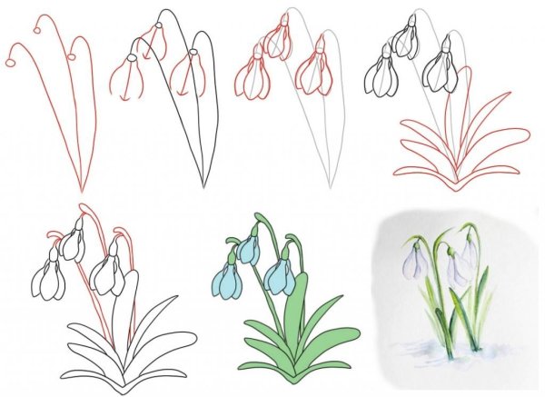 Рисование первых весенних цветов