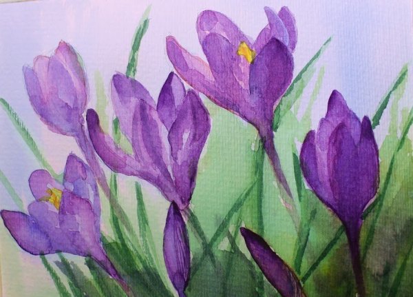 Рисование весенних цветов