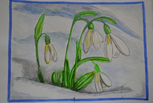 Рисование подснежники