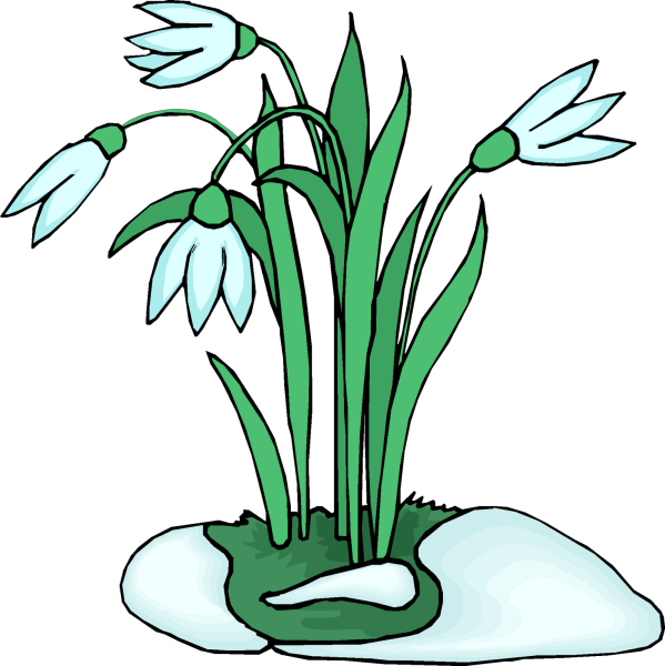 Подснежник для детей