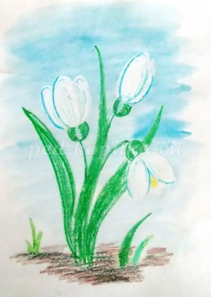 Подснежники акварель восковые мелки