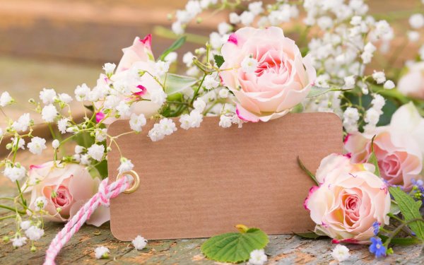 Цветы поздравления