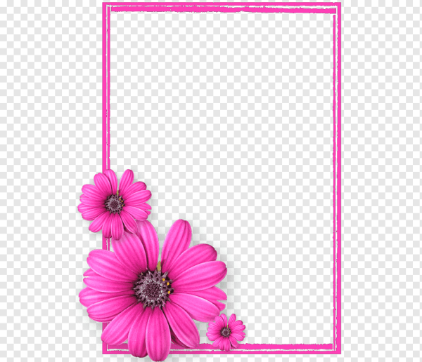 Цветочная рамка на прозрачном фоне