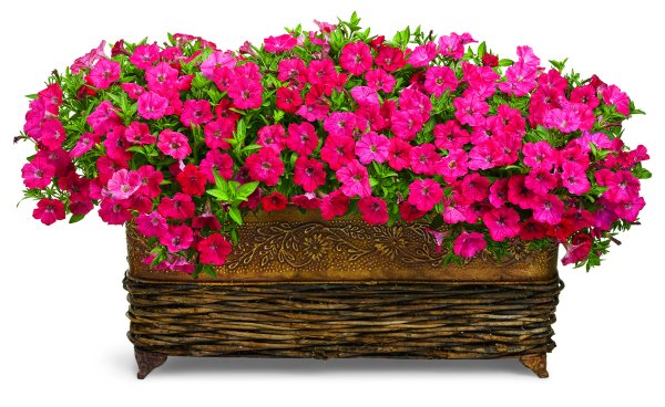 Рабатка симметричная