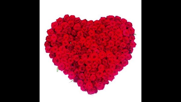 Огромное сердечко