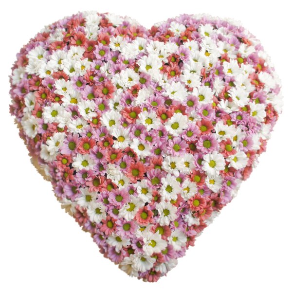 Сердце из роз