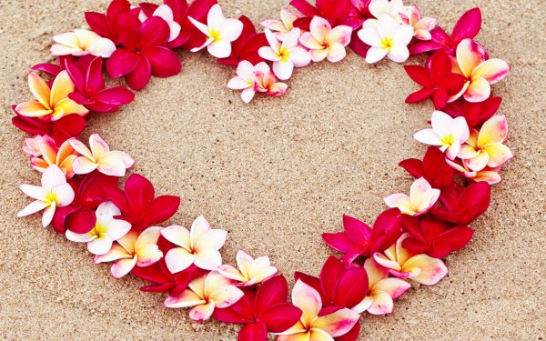 Сердце из цветов