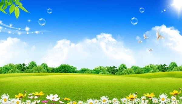 Лужайка с цветами для детей