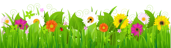 Цветочная Поляна картинки для детей