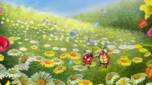 Полянка с тропинкой